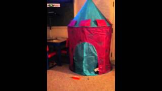 Molly knows how to make an entrance