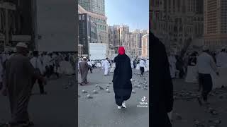 Download lagu Masyaallah Luna Maya memberangkatkan karyawannya berangkat Umroh #lunamaya#fypシ mp3