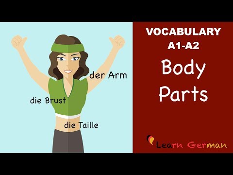 Learn German | German Vocabulary | die Körperteile | Body parts | der Körper | A1