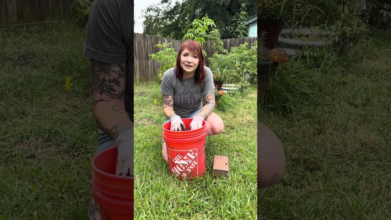 Make your own soil using coco coir.