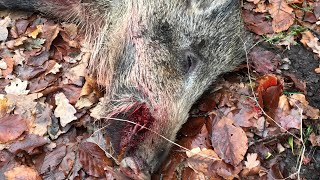 Drückjagden 2018-Feld und Jagd