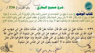 236 شرح صحيح البخاري كتاب الوضوء || باب مَا يَقعُ من النَّجَاسَاتِ في السَّمنِ وَالمَاء - الحديث 236 image