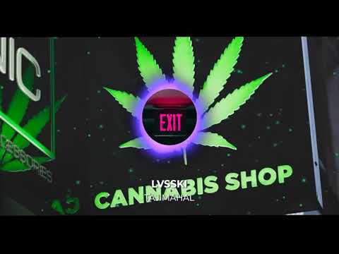 (FREE) Hamza X Oboy Type Beat - "Taj Mahal"