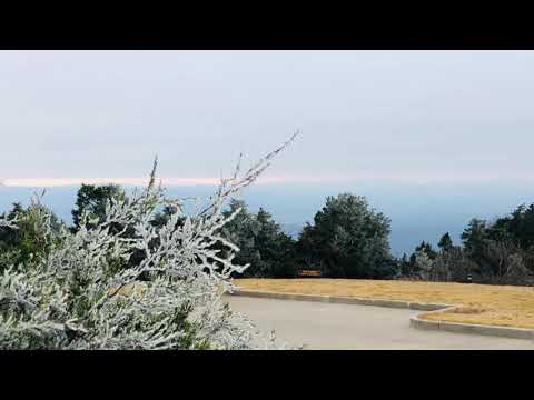A Wintery Mount Magazine! Signal Hill with Ice and Frozen Fog