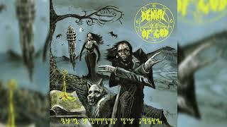 Denial Of God – The Horrors Of Satan FULL ALBUM (Vinyl Rip)