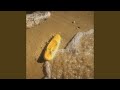 Yellow Banana