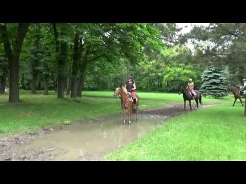 VS - Training Freudenau 30.05.2015