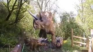 preview picture of video 'Combe Martin Wildlife and Dinosaur Park  Triceratops'
