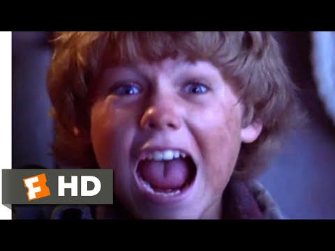 Free Willy (1993) - Meeting Willy Scene (1/10) | Movieclips