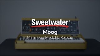 Video thumbnail for Moog Minimoog Model D Synthesizer Demo — Daniel Fisher by Sweetwater
