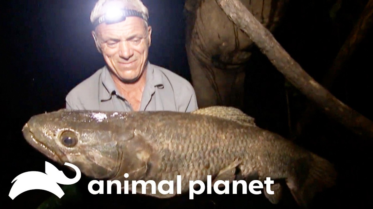 Fishing in South America | River Monsters | Animal Planet