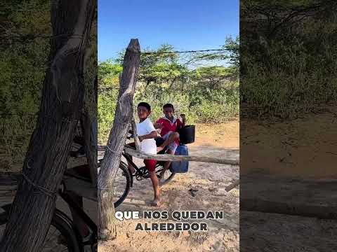 Agua en la Guajira -Maicao