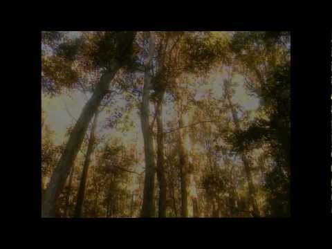 John Williamson - Rip Rip Woodchip [Official Video]