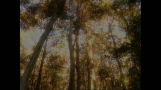 John Williamson - Rip Rip Woodchip [Official Video]
