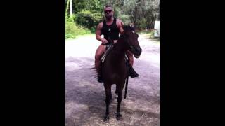 The Hungarian Hammer is here!!!