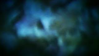 O Yuki Conjugate - Ascension