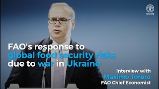 FAO's response to global food security risks due to war in Ukraine​ 