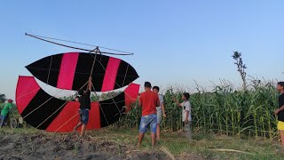 Download lagu BIKIN LAYANGAN GAPANGAN PEGON BIG SIZE 5 METER SEMALAM BERAKHIR TRAGIS mp3