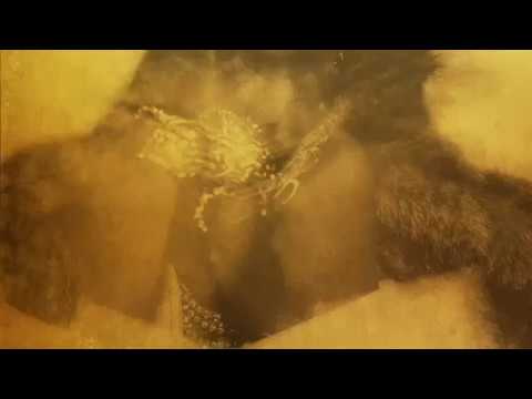 download lagu mp3 mp4 I M So Groovy Lyrics, download lagu I M So Groovy Lyrics gratis, unduh video klip I M So Groovy Lyrics