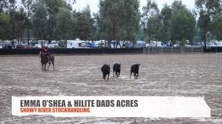 preview picture of video 'Emma O'Shea & Hilite Dads Acres   MFSR 2014 Snowy River Stockhandling'