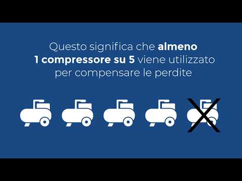 Leak Management Auditech