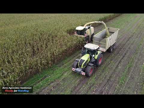 Mais hakselen 2020 / Kukurydza | Krone Big X 850 | Nikkels BV - Diverse Tractor | Beekbergen | NL