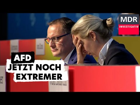 Radikal und stramm rechts – Die düstere Zukunft der AfD?