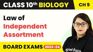Class 10 Biology Chapter 9 | Mendel’s Findings (Law of Independent Assortment)