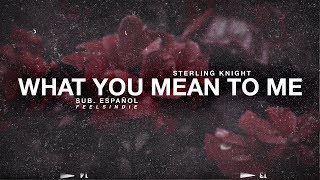 Sterling Knight - What You Mean To Me [Sub. Español]