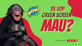 Download lagu 15 top green screen meme ketawa yang terahir bikin ngakak #memeketawa #greenscreen mp3 Download lagu 15 top green screen meme ketawa yang terahir bikin ngakak #memeketawa #greenscreen mp3