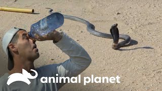 Thumbnail del capítulo