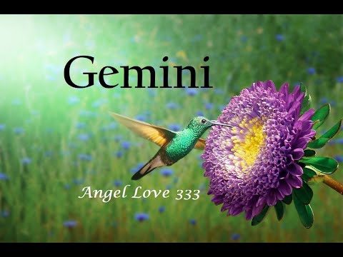 Gemini ♊️Weekly ~ Solid offer!  Go for it! August 17th - 23rd