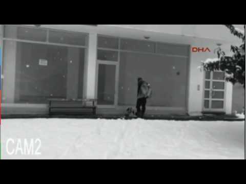 cane abbandonato trema dal freddo