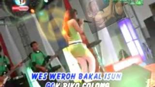 Download lagu RENY FARIDA mp3