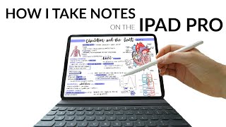 How I Write NEAT + EFFECTIVE Notes on my iPad Pro! (GoodNotes)