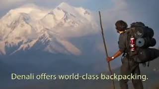 Welcome to Denali | Denali National Park, Alaska.