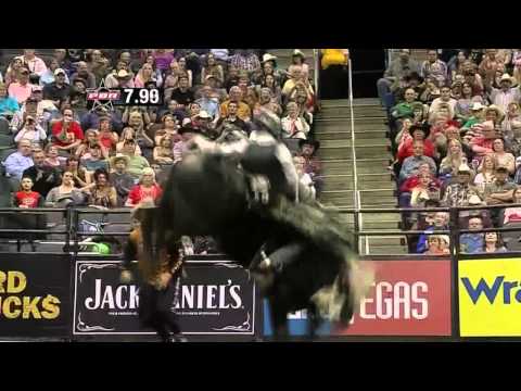 Matt Bohon 86.25 points on Rango