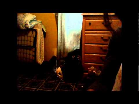 Leftside ft mysTic( Fat Punani ) GAza slim Diva