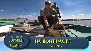 Ловля сомов в астрахани на шамбае