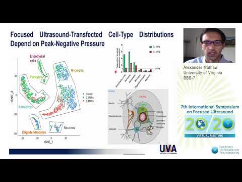 A.S. Mathew - ScRNA-seq Reveals FUS Enrichment of Cells and Responses after BBB Opening (2020)