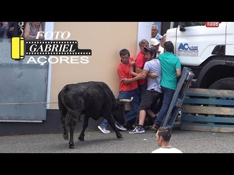 ESPERA DE GADO Alto das Covas SANJOANINAS 2019