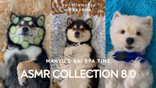 【ASMR Compilation 8.0】Manyu & Bai’s Immersive Care SPA - Deep Relaxation & Healing Time