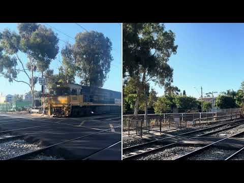 NR84 & NR85’s horns (similar…….)