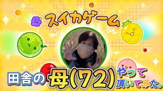 【72歳】生まれて初めてのゲームをやって頂いてみた。【スイカゲーム】