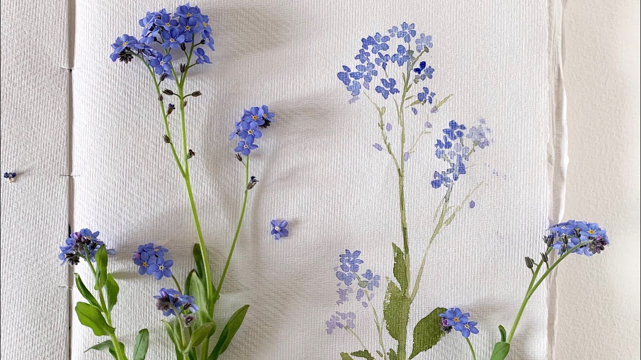 Forget-me-not | Watercolor Painting Tutorial | Live reference