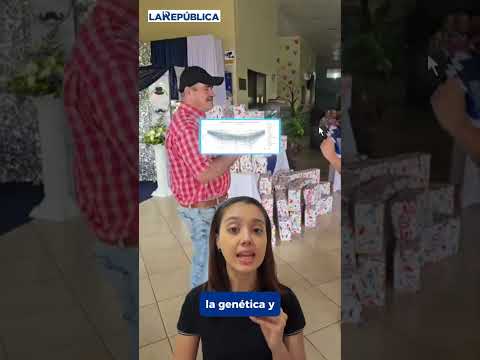 ¿Por qué en algunos cantones ticos se vive hasta 9 años más que en otros?