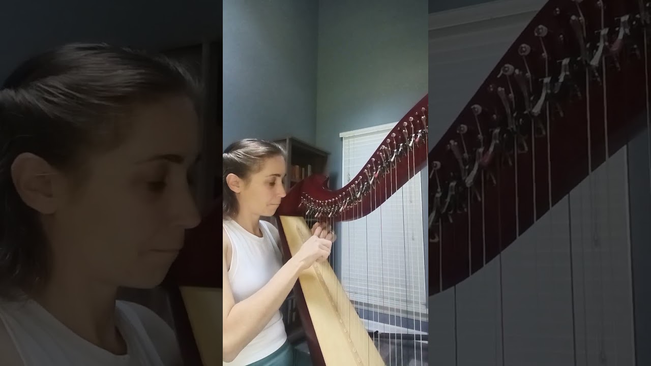 Promotional video thumbnail 3 for Melissa White Harpist