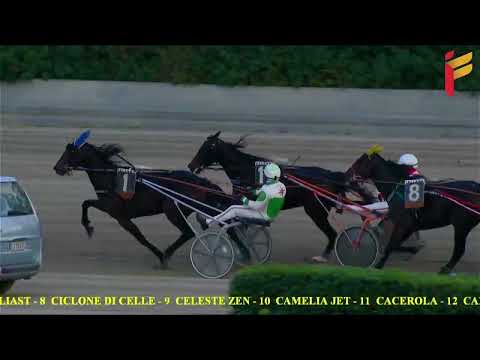 VII corsa del 11 dicembre 2022 - 4 Anni - Metri 2000/2020