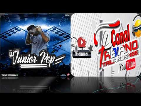 🎵MELODY 2021 ▶ VAI TER QUE DIVIDIR ▶ DJ JUNIOR POP(Fabiano Tailandense)