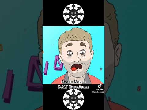 Shane Moss on the DMT experience